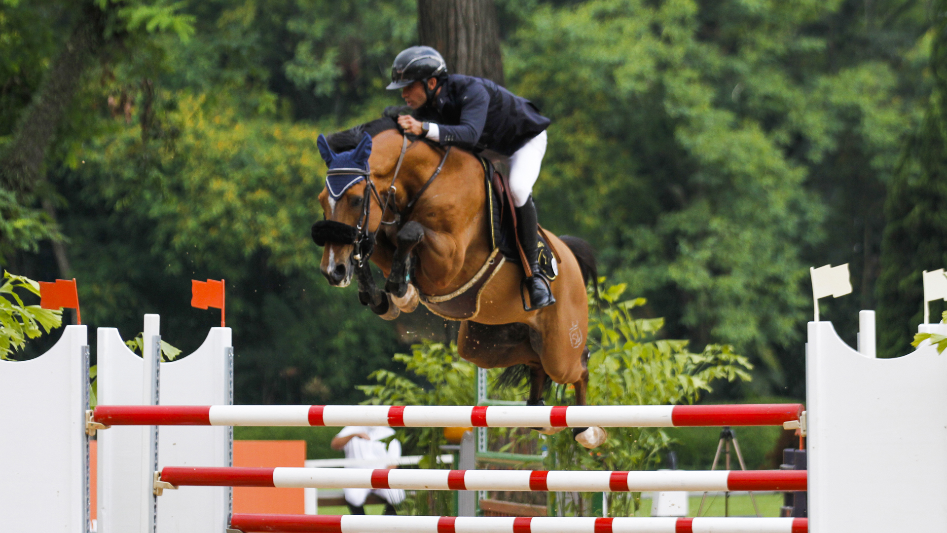Cavalo-SL_1920x1080-Horizontal-1